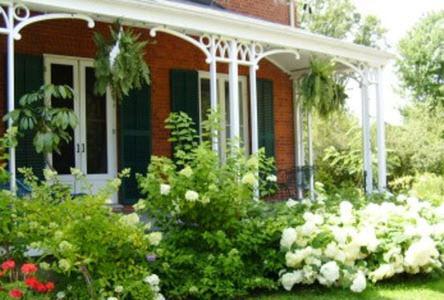 Mackechnie House Panzió Cobourg Kültér fotó